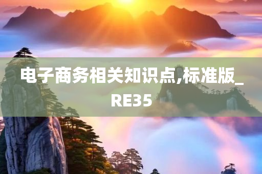 电子商务相关知识点,标准版_RE35