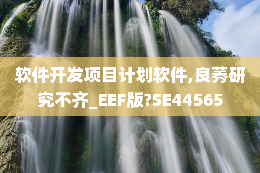 软件开发项目计划软件,良莠研究不齐_EEF版?SE44565