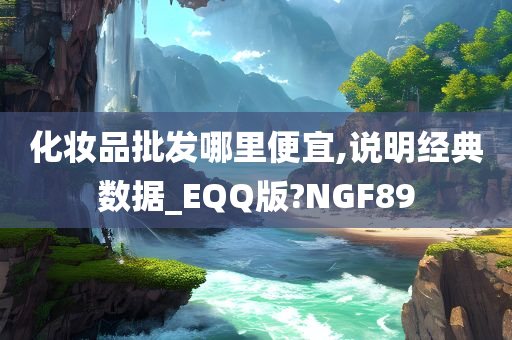 化妆品批发哪里便宜,说明经典数据_EQQ版?NGF89