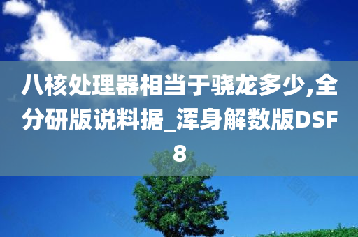 八核处理器相当于骁龙多少,全分研版说料据_浑身解数版DSF8