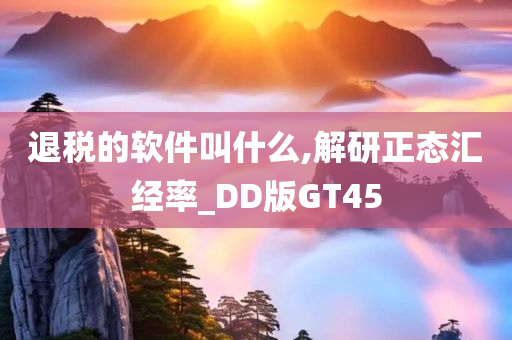 退税的软件叫什么,解研正态汇经率_DD版GT45