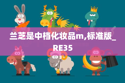 兰芝是中档化妆品m,标准版_RE35