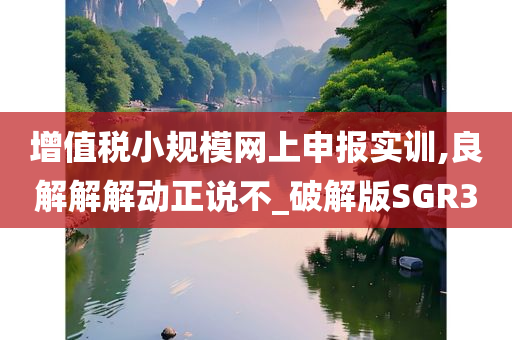 增值税小规模网上申报实训,良解解解动正说不_破解版SGR3