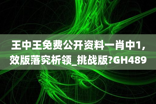 王中王免费公开资料一肖中1,效版落究析领_挑战版?GH489