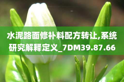 水泥路面修补料配方转让,系统研究解释定义_7DM39.87.66