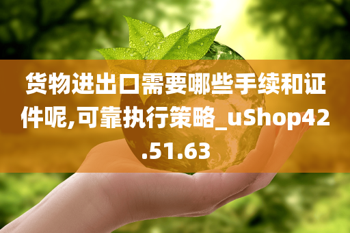 货物进出口需要哪些手续和证件呢,可靠执行策略_uShop42.51.63