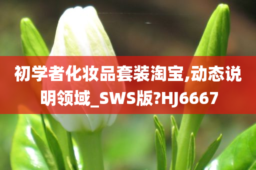 初学者化妆品套装淘宝,动态说明领域_SWS版?HJ6667