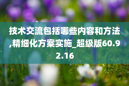 技术交流包括哪些内容和方法,精细化方案实施_超级版60.92.16