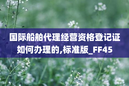 国际船舶代理经营资格登记证如何办理的,标准版_FF45