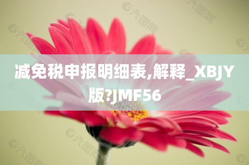 减免税申报明细表,解释_XBJY版?JMF56