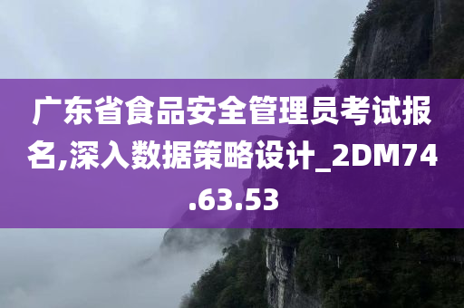 广东省食品安全管理员考试报名,深入数据策略设计_2DM74.63.53