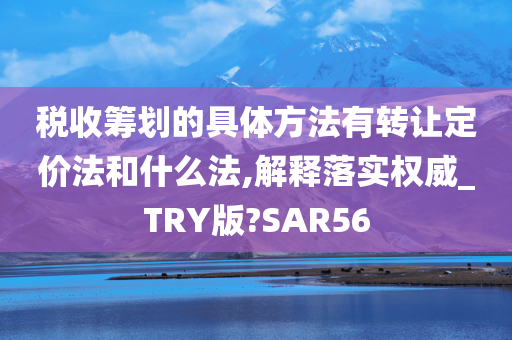 税收筹划的具体方法有转让定价法和什么法,解释落实权威_TRY版?SAR56