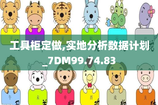 工具柜定做,实地分析数据计划_7DM99.74.83