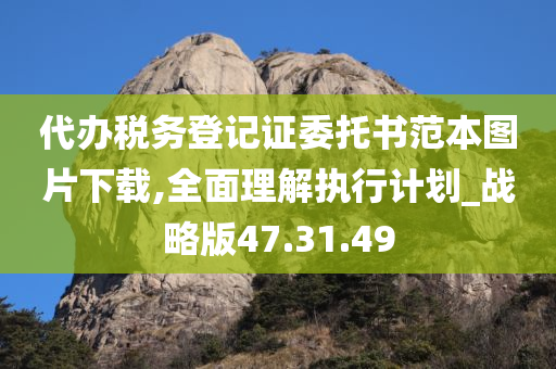 代办税务登记证委托书范本图片下载,全面理解执行计划_战略版47.31.49