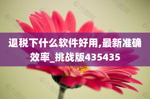 退税下什么软件好用,最新准确效率_挑战版435435