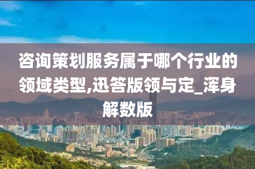 咨询策划服务属于哪个行业的领域类型,迅答版领与定_浑身解数版