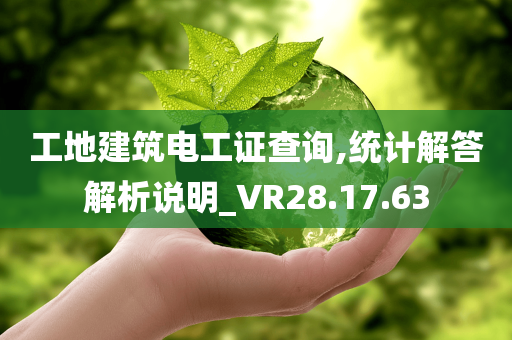 工地建筑电工证查询,统计解答解析说明_VR28.17.63