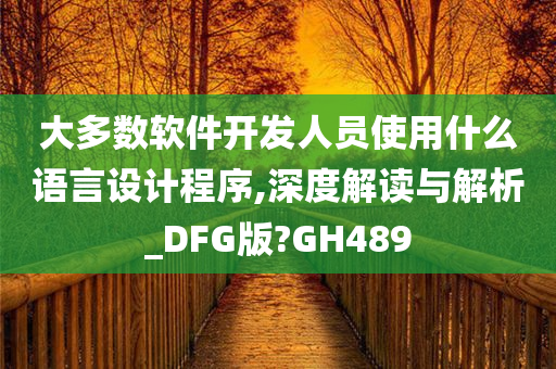 大多数软件开发人员使用什么语言设计程序,深度解读与解析_DFG版?GH489