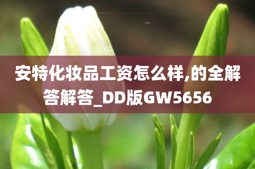 安特化妆品工资怎么样,的全解答解答_DD版GW5656