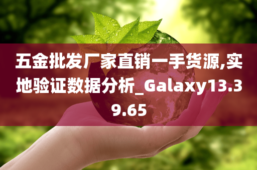 五金批发厂家直销一手货源,实地验证数据分析_Galaxy13.39.65