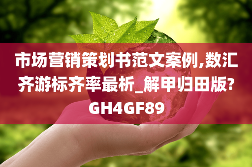 市场营销策划书范文案例,数汇齐游标齐率最析_解甲归田版?GH4GF89