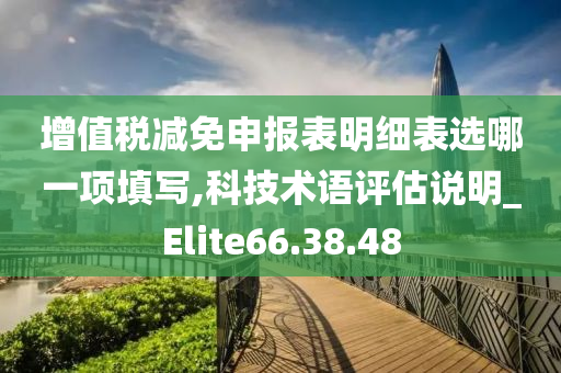 增值税减免申报表明细表选哪一项填写,科技术语评估说明_Elite66.38.48