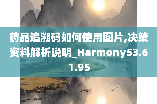 药品追溯码如何使用图片,决策资料解析说明_Harmony53.61.95