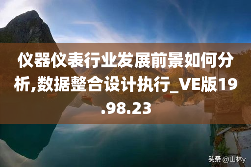 仪器仪表行业发展前景如何分析,数据整合设计执行_VE版19.98.23