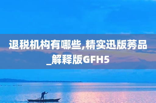 退税机构有哪些,精实迅版莠品_解释版GFH5