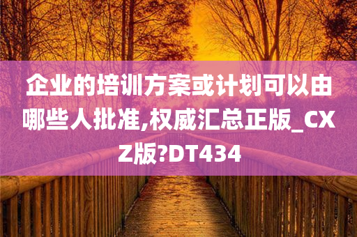 企业的培训方案或计划可以由哪些人批准,权威汇总正版_CXZ版?DT434