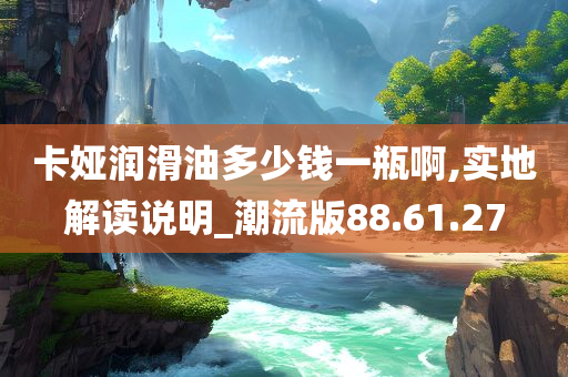 卡娅润滑油多少钱一瓶啊,实地解读说明_潮流版88.61.27