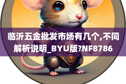 临沂五金批发市场有几个,不同解析说明_BYU版?NF8786