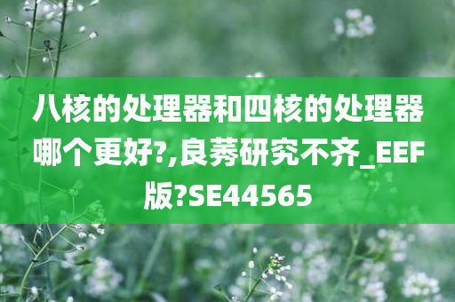 八核的处理器和四核的处理器哪个更好?,良莠研究不齐_EEF版?SE44565