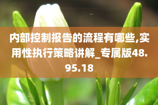 内部控制报告的流程有哪些,实用性执行策略讲解_专属版48.95.18