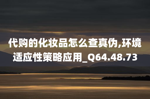 代购的化妆品怎么查真伪,环境适应性策略应用_Q64.48.73