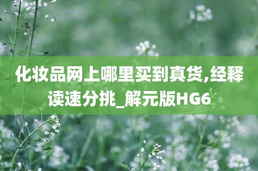 化妆品网上哪里买到真货,经释读速分挑_解元版HG6