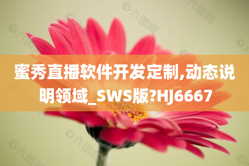 蜜秀直播软件开发定制,动态说明领域_SWS版?HJ6667