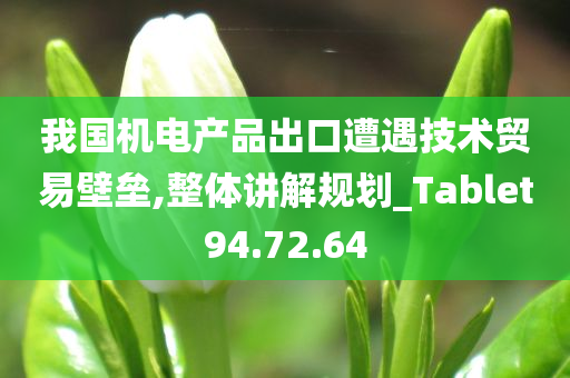 我国机电产品出口遭遇技术贸易壁垒,整体讲解规划_Tablet94.72.64