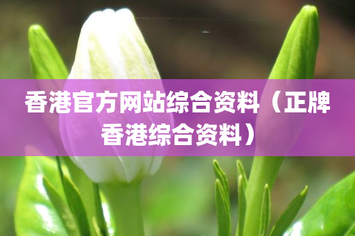 香港官方网站综合资料（正牌香港综合资料）