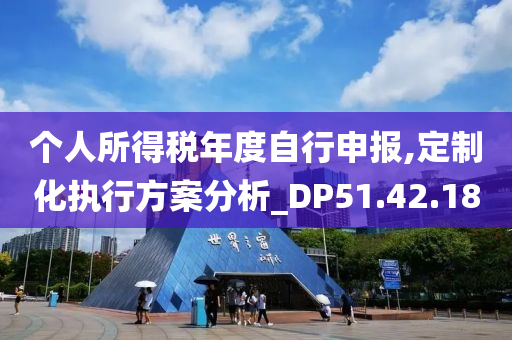 个人所得税年度自行申报,定制化执行方案分析_DP51.42.18