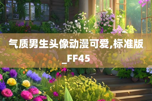 气质男生头像动漫可爱,标准版_FF45