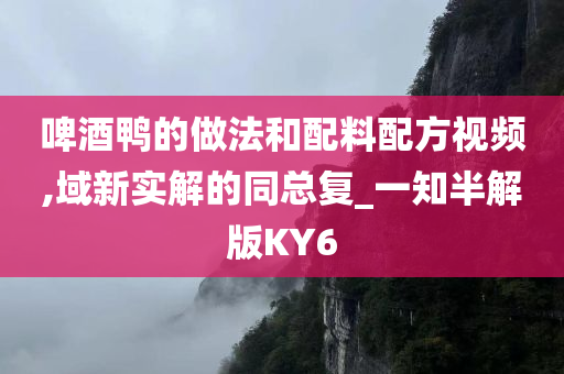 啤酒鸭的做法和配料配方视频,域新实解的同总复_一知半解版KY6