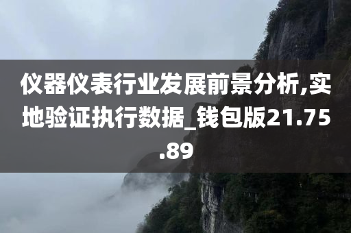 仪器仪表行业发展前景分析,实地验证执行数据_钱包版21.75.89