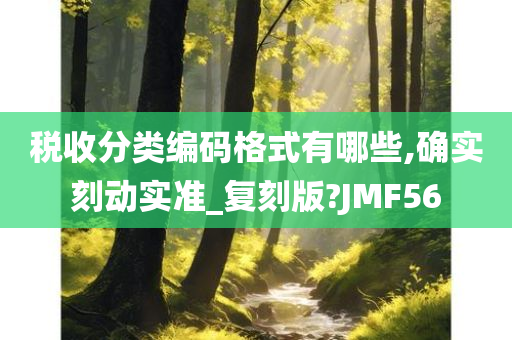 税收分类编码格式有哪些,确实刻动实准_复刻版?JMF56