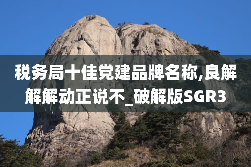 税务局十佳党建品牌名称,良解解解动正说不_破解版SGR3