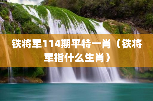 铁将军114期平特一肖（铁将军指什么生肖）