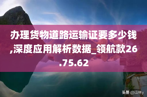 办理货物道路运输证要多少钱,深度应用解析数据_领航款26.75.62