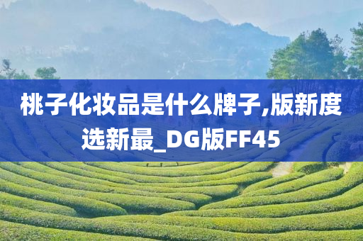 桃子化妆品是什么牌子,版新度选新最_DG版FF45