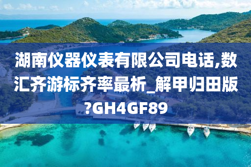 湖南仪器仪表有限公司电话,数汇齐游标齐率最析_解甲归田版?GH4GF89