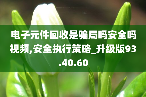 电子元件回收是骗局吗安全吗视频,安全执行策略_升级版93.40.60